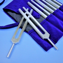 Line of tuning forks